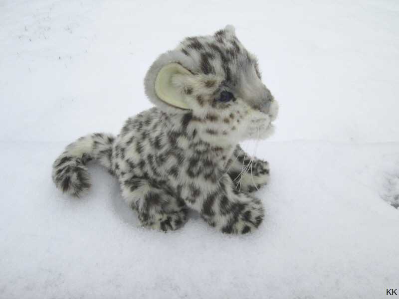 Pluschtier Schnee Leopard